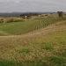 Mount View soil landscape near Cessnock in the lower Hunter Valley NSW.