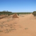 Red soils of the ‘Calcareous Mallee’ west of Moulamein, south-west NSW.