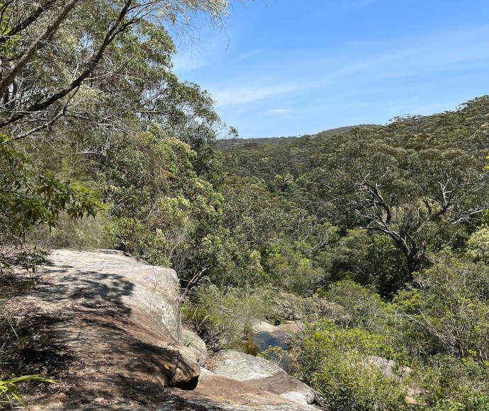 A rocky outcrop overlooking a shallow, thickly treed valley with dense, gumtree-covered hills to the horizon