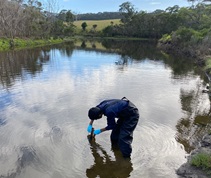 Person standing in water taking water sample from Tilba Tilba Lake or Victoria Creek